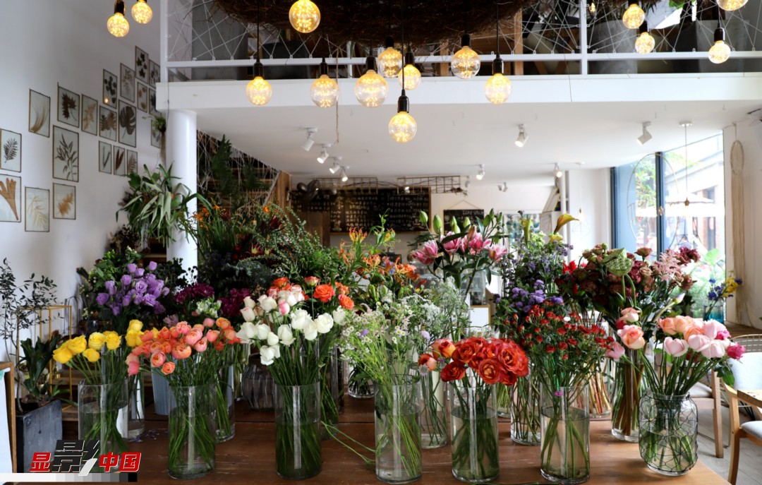 從決定從事鮮花這個(gè)行業(yè)以來(lái)，王黎媛花了很多的時(shí)間和精力去學(xué)習(xí)花藝，不斷提高自己的專業(yè)水平。而在小店的選址、裝修和布置方面，王黎媛同樣花費(fèi)了不少心思，“希望我的小店和鮮花一樣，是有溫度的、鮮活的?！绷硗?，小小的花店也藏著大大的夢(mèng)想，“我們?cè)颇硝r花很多，但真正做成品牌的卻很少，這是非?？上У?。我希望把我的店做成品牌，不光能扎根昆明，還能落地到云南的其他城市，甚至省外的城市?！眻D為王黎媛的花店一角。新華網(wǎng) 周亞平/攝 念新洪/文