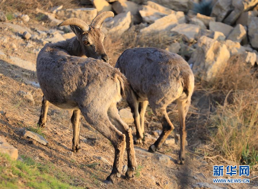 1126044797_15906479533711n.jpg 1126044797_15906479533711n.jpg